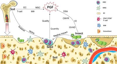 Recent Advancements in Poor Graft Function Following Hematopoietic Stem Cell Transplantation
